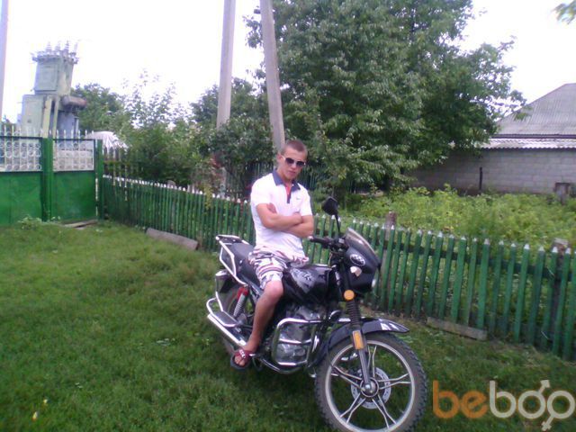 ���� 966613 ������� Leon, 34 ����, ���� ���������� � �������