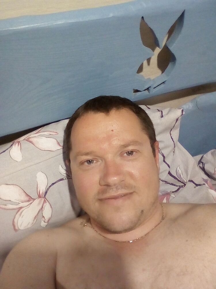  23386323  , 46 ,    