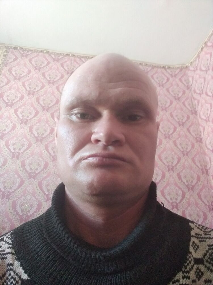  22413943  , 43 ,    