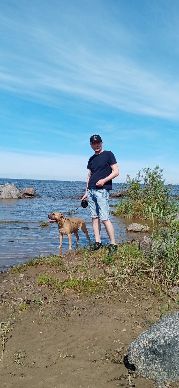 ���� 29039753 ������� Baleriy, 54 ����, ���� ���������� � �����-����������