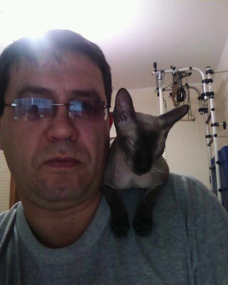  ,   , 56 ,   