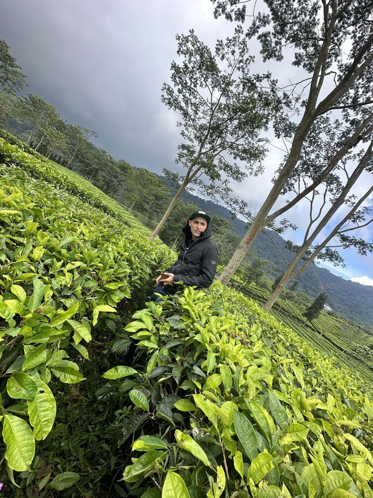 ���������� ���������, ���� ������� ����, 31 ���, ������������ ��� ������, ����� � ���������, c�������� ���������, ���������