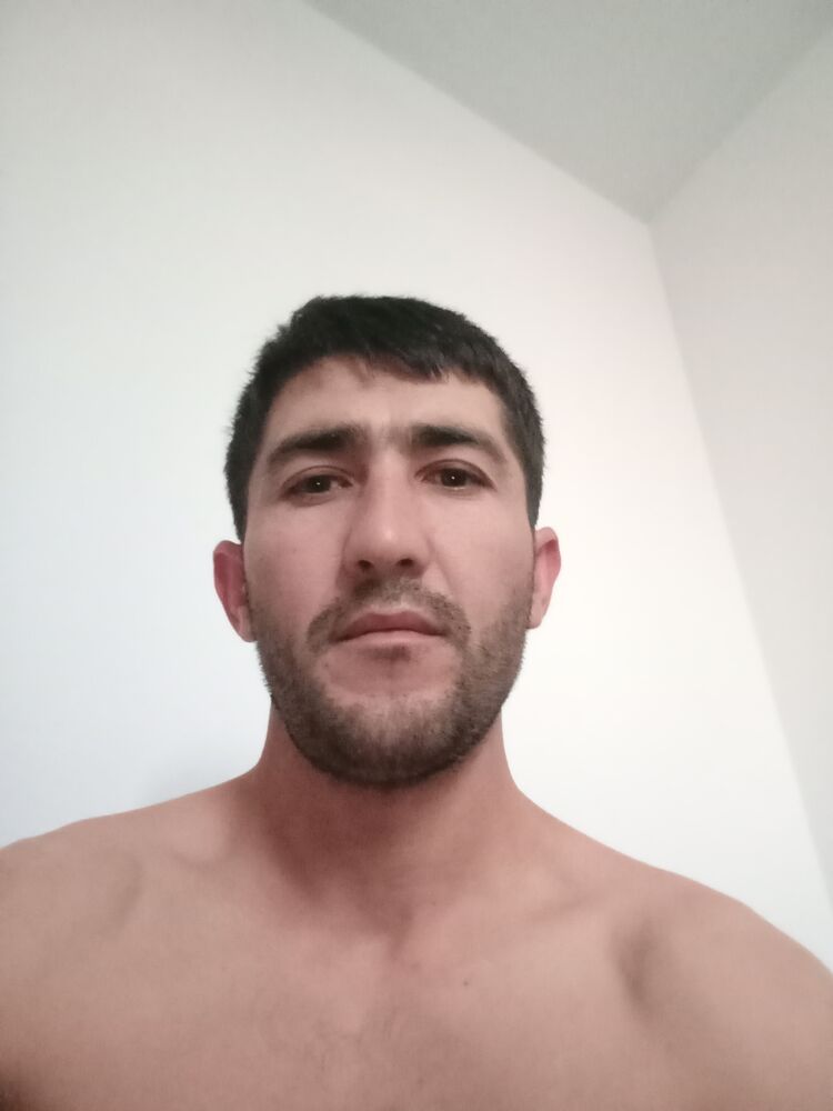  49866123  , 32 ,    