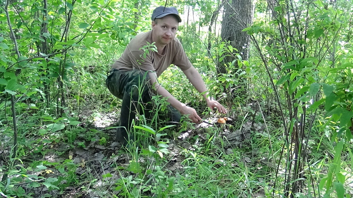 ���������� �����, ���� ������� ����, 45 ���, ������������ ��� ����� � ���������, c�������� ���������, ���������