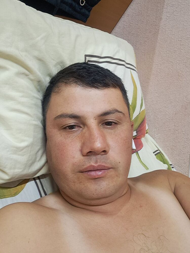  53165113  , 33 ,    