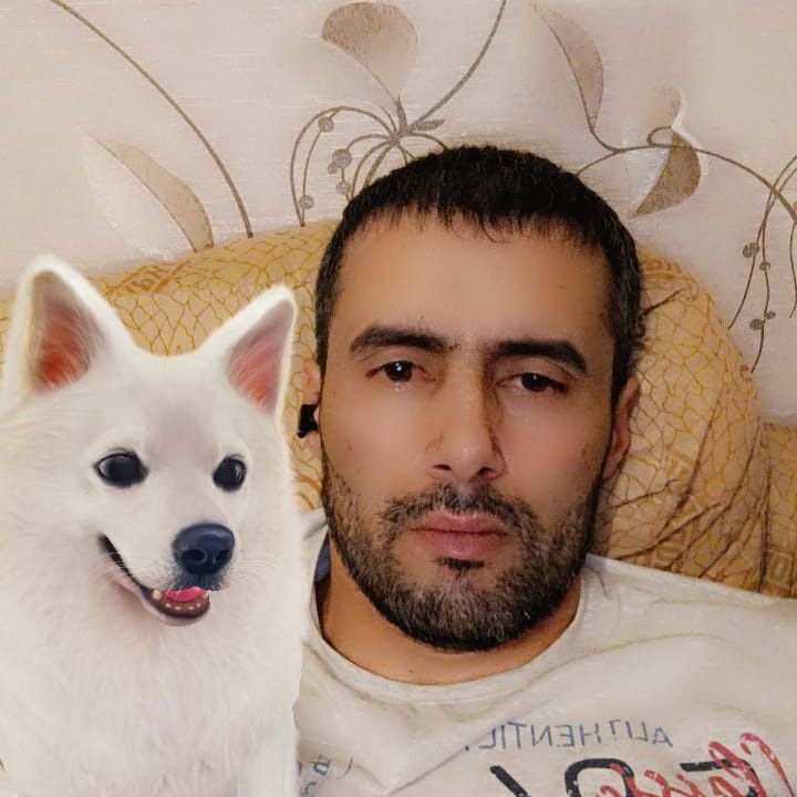 ���� 50747613 ������� �����, 37 ���, ���� ���������� � ������