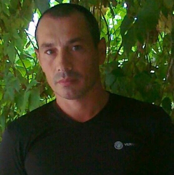 ���� 37138053 ������� ����, 44 ����, ���� ���������� � ���������