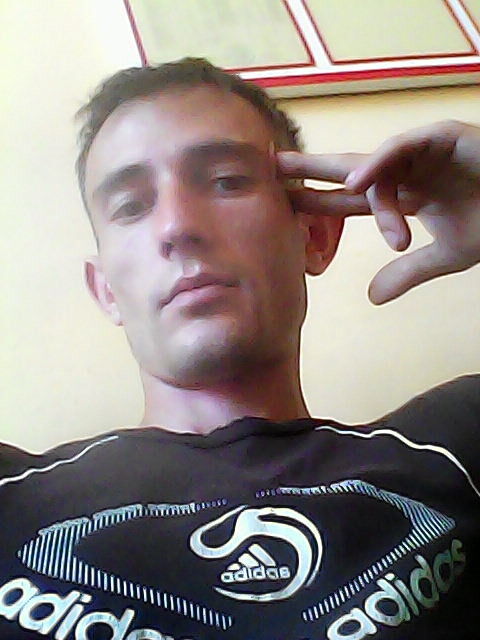  8289533  , 38 ,    