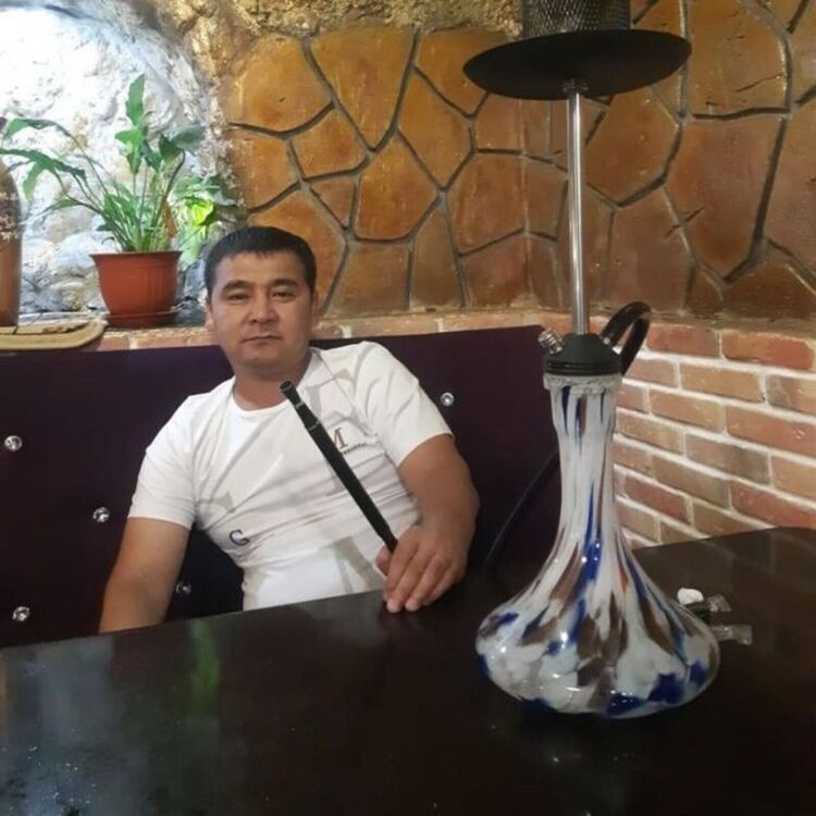  43977313  , 42 ,    