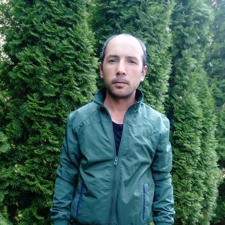 ���� 35305203 ������� ��������, 38 ���, ���� ���������� � ����������