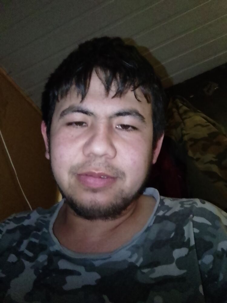  33851573  , 29 ,    