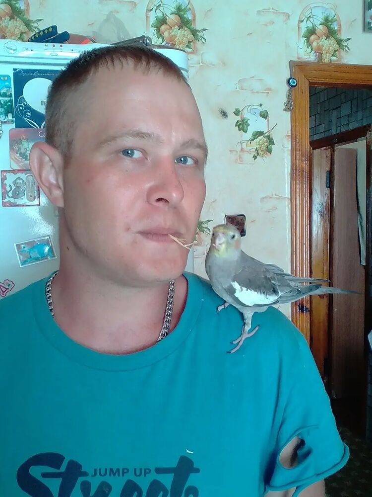  ,   VasiaVetrov, 35 ,   c 