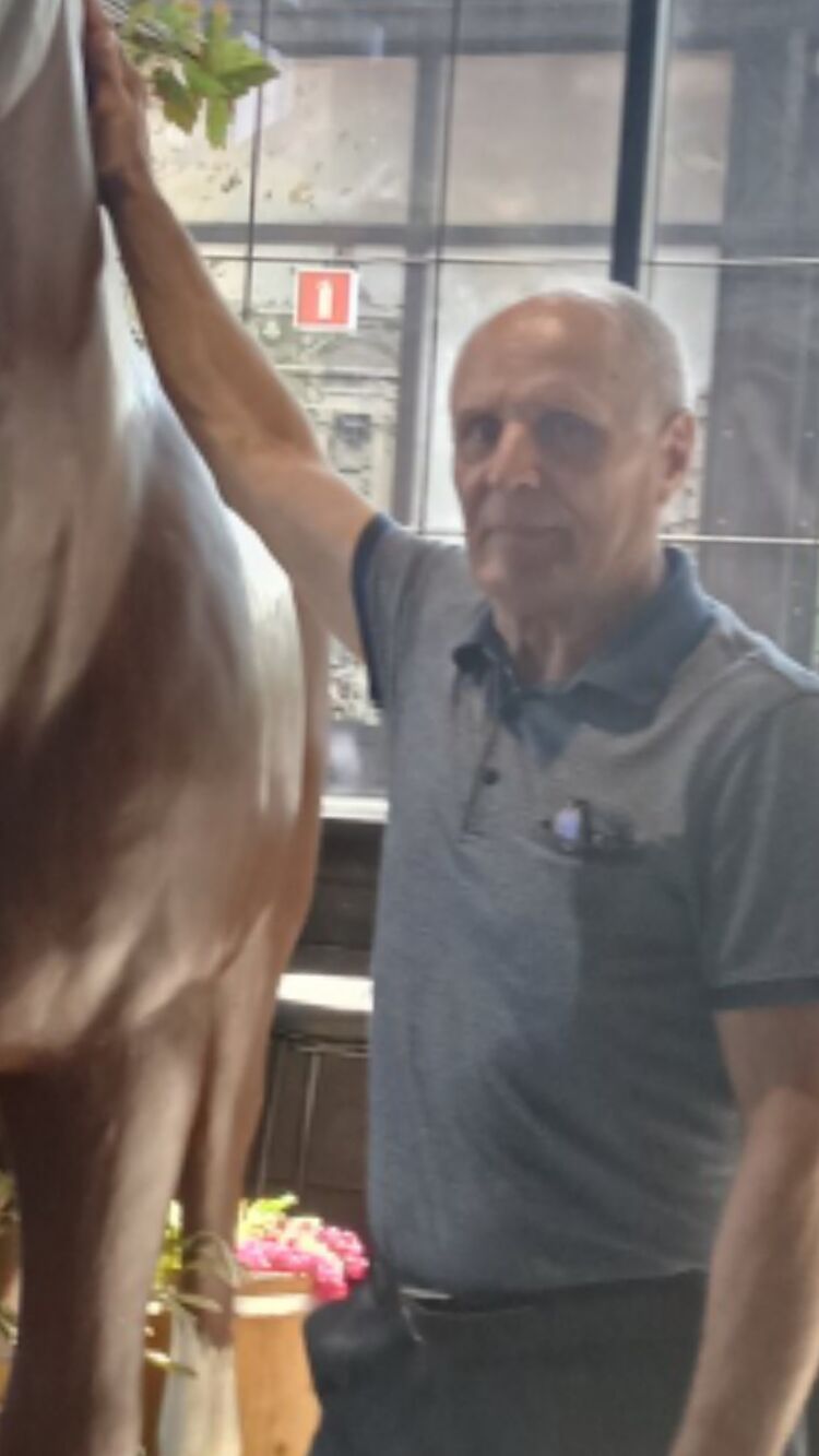  --,   , 56 ,   ,   