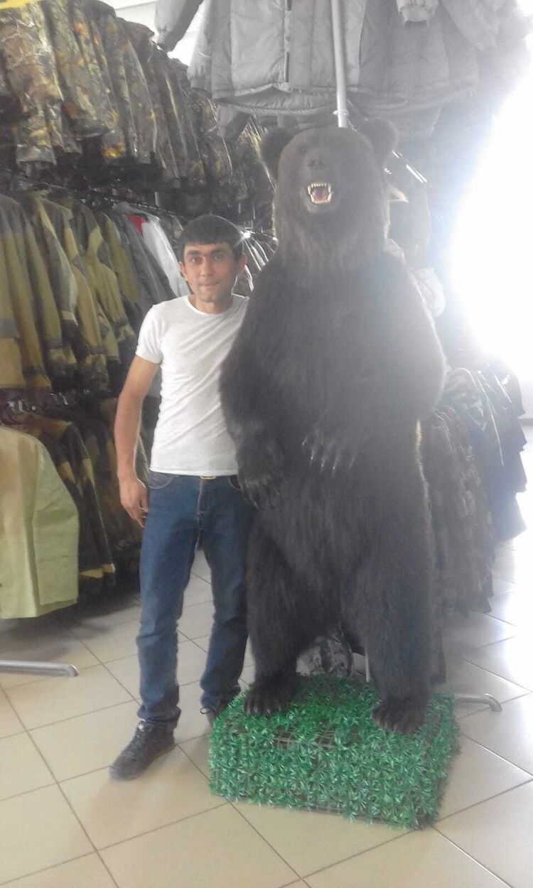 ���� 55512633 ������� �����, 40 ���, ���� ���������� � ������