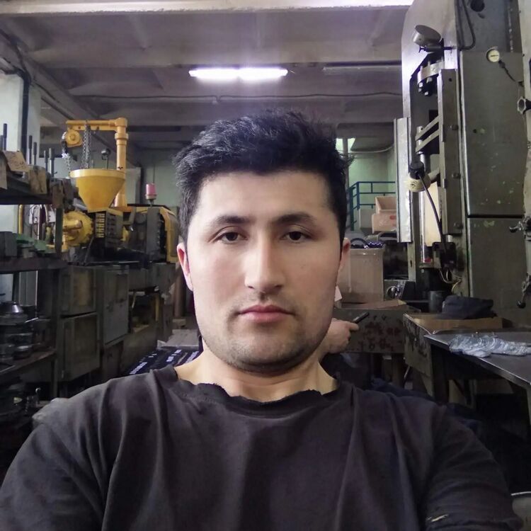 ���� 51979923 ������� ������, 33 ����, ���� ���������� � ���������� ������