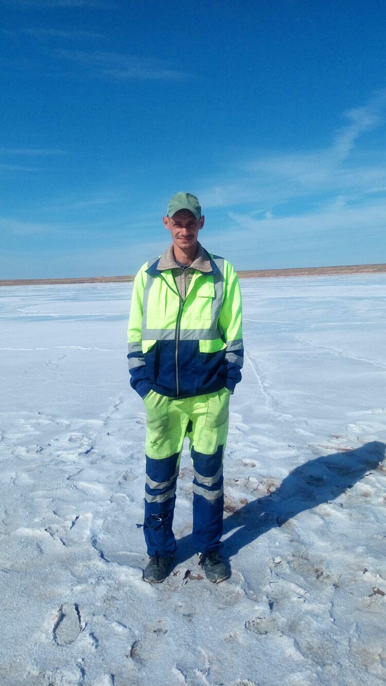 ���� 56446853 ������� ������, 45 ���, ���� ���������� � �����-����������