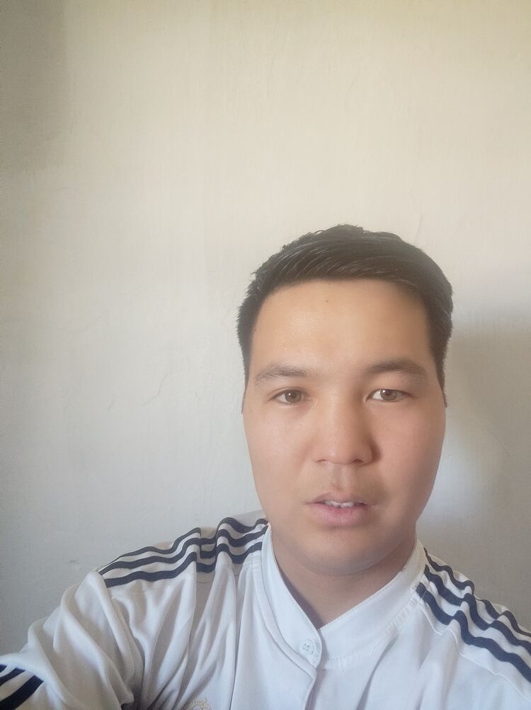  27503833  , 30 ,    