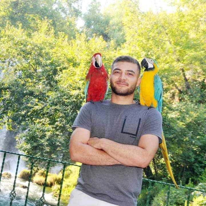 ���������� ����, ���� ������� �����, 45 ���, ������������ ��� ������, ����� � ���������