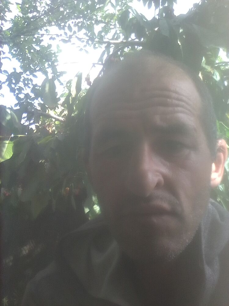 ���� 26865463 ������� ������, 48 ���, ���� ���������� � ������������