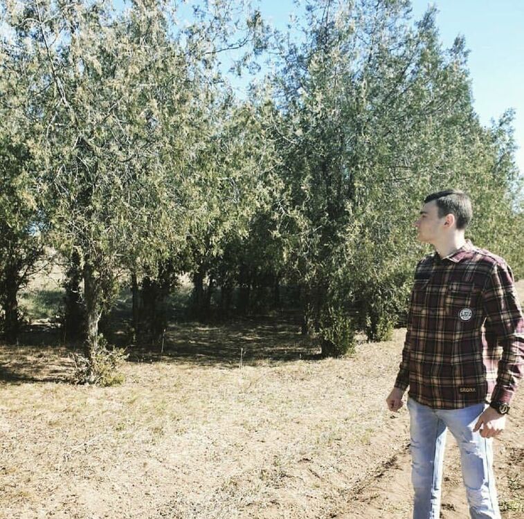 ���� 26381353 ����� �������, 25 ���, ���� ���������� � ����������