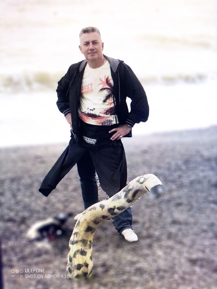  ,   , 56 ,   ,   