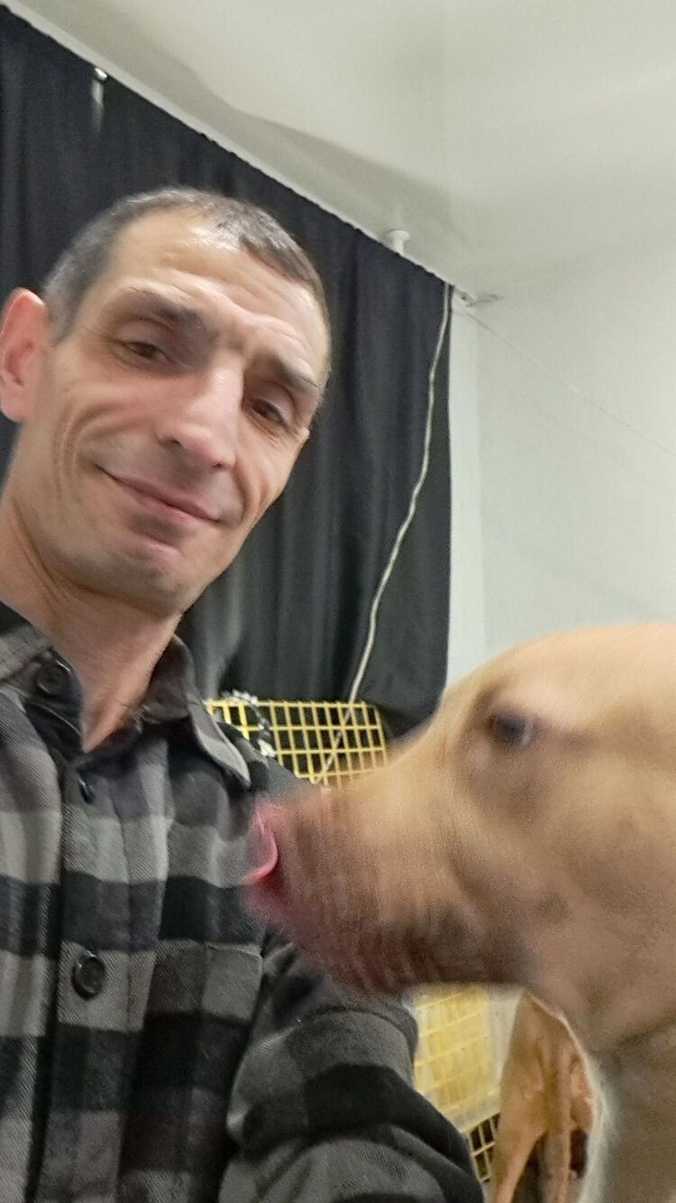 ���������� �����, ���� ������� ���������, 49 ���, ������������ ��� ������, ����� � ���������, c�������� ���������, ���������