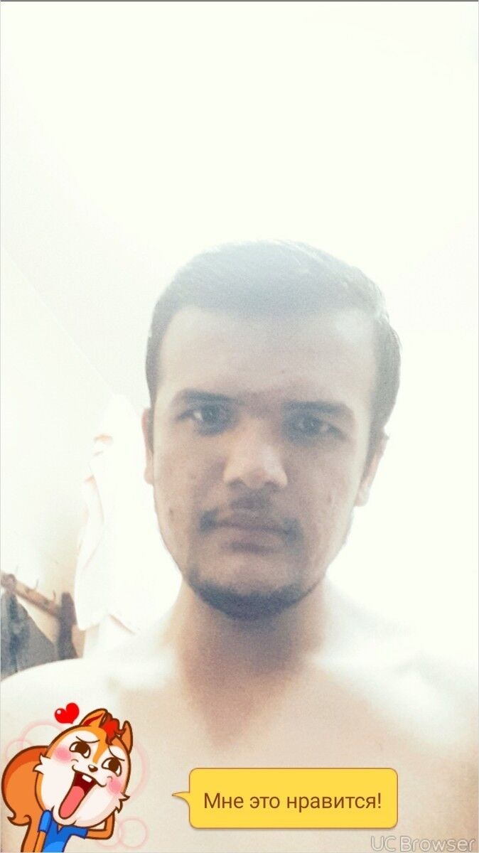  10215383  , 28 ,    