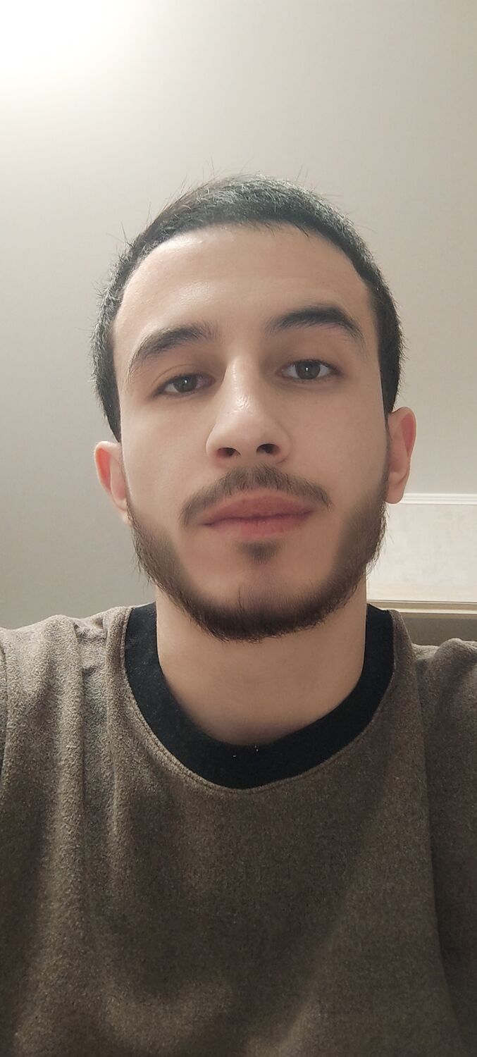  43163683  , 28 ,    