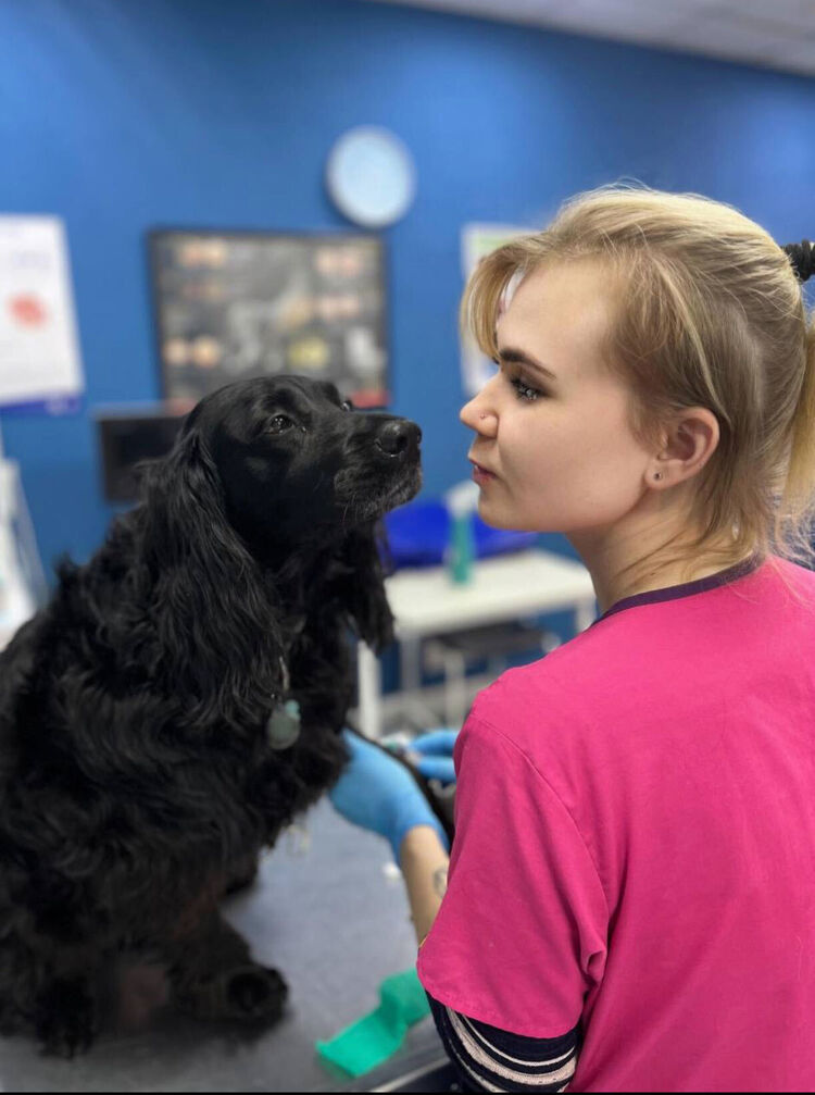 ���������� ������, ���� ������� ����, 31 ���, ������������ 