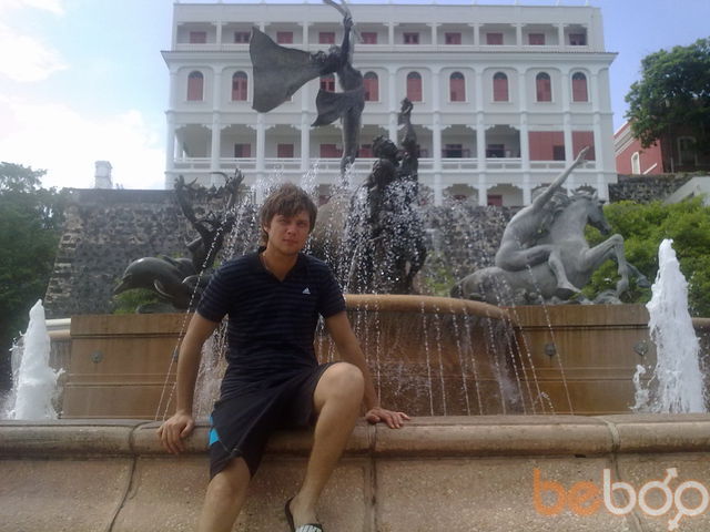 ���� 1064663 ������� Lion, 38 ���, ���� ���������� � ���������