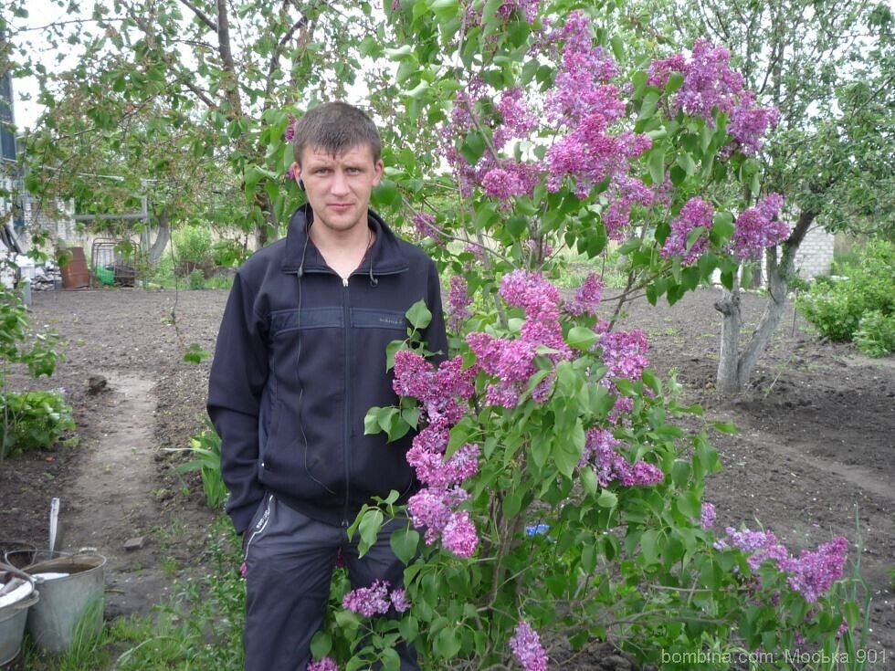  -,   , 37 ,   ,   , c , 