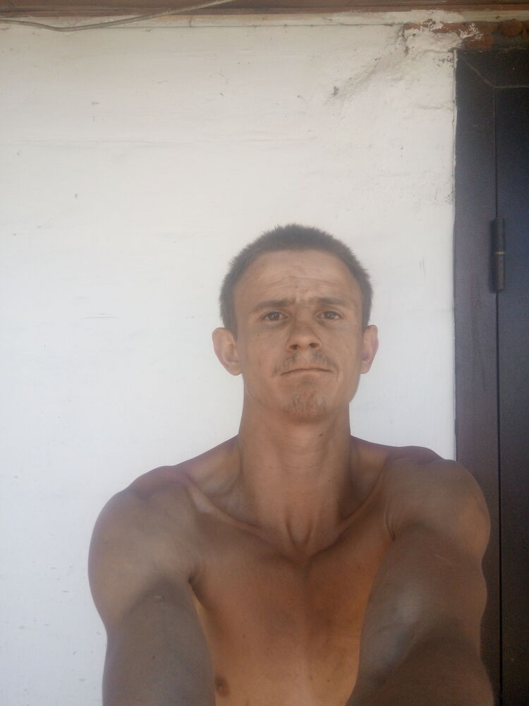  27374663  , 31 ,    