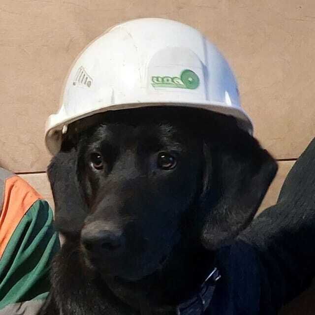 ���������� �������, ���� ������� ANDREI, 40 ���, ������������ ��� ������, ����� � ���������