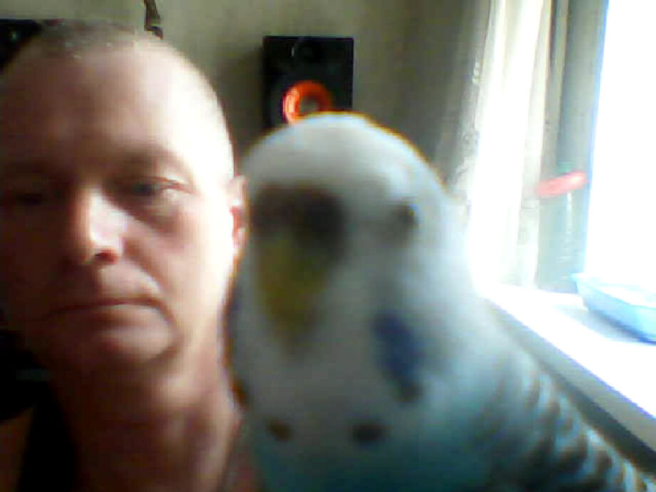  ,   , 51 ,     