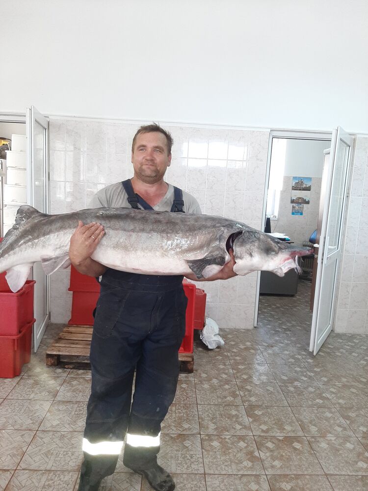  deleted,   , 49 ,   ,   