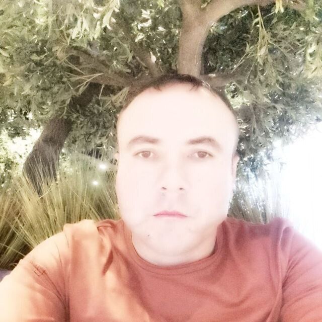  34373983  , 39 ,    
