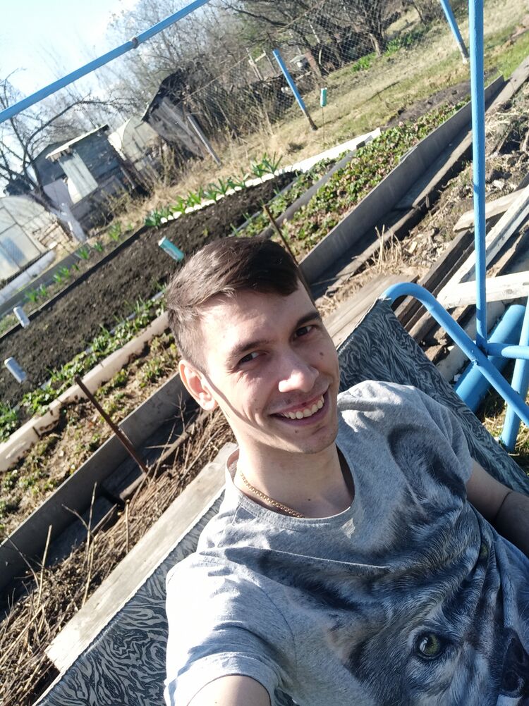  40588663  , 33 ,    