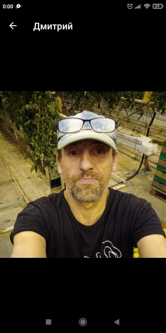 ���� 26347183 ������� �������, 50 ���, ���� ���������� � ������