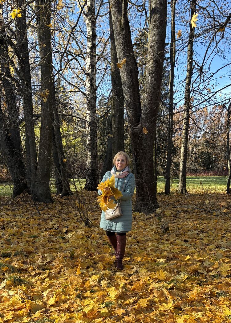  54074303  , 65 ,    -