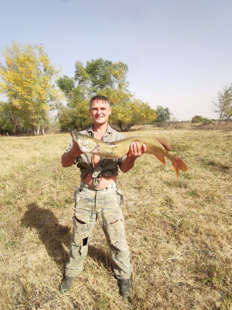 ���������� �������, ���� ������� ��������, 37 ���, ������������ ��� ������, ����� � ���������, c�������� ���������, ���������