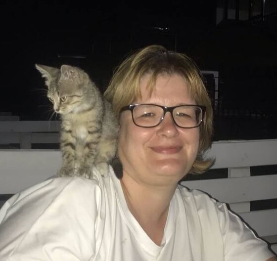 ���������� �������, ���� ������� �����, 46 ���, ������������ ��� c�������� ���������