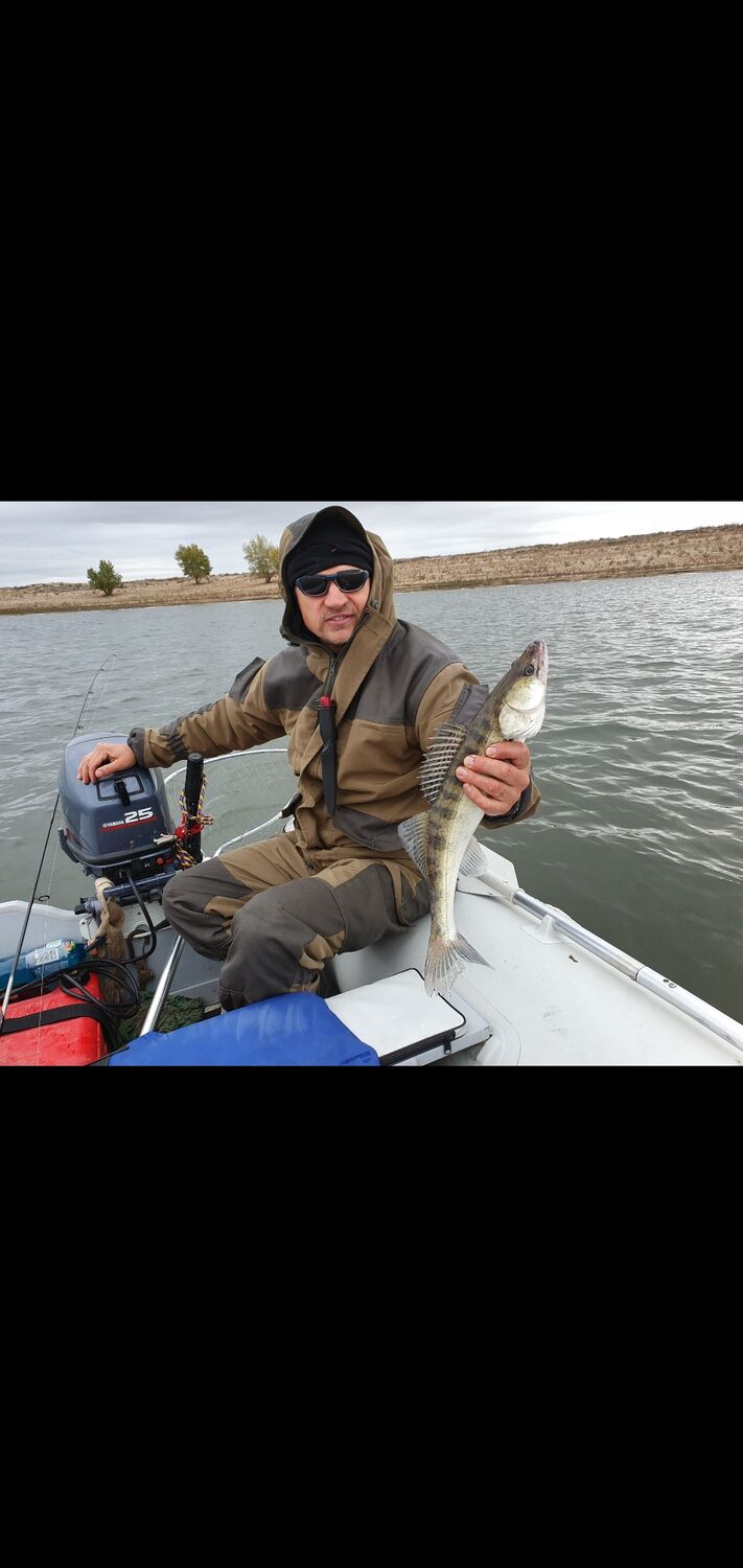 ���� 55003623 ������� ����, 46 ���, ���� ���������� � ��������