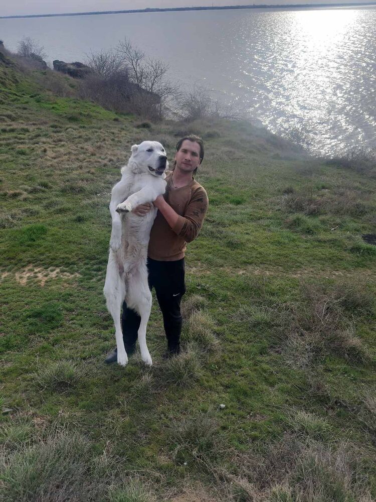 ���� 23126223 ������� ������, 29 ���, ���� ���������� � ������