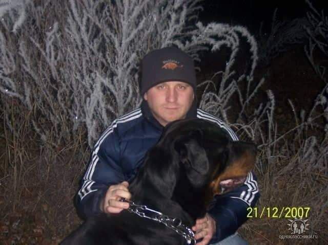 24164243  Wladimir, 49 ,    