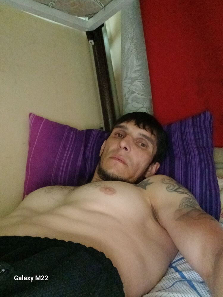  43782063  , 41 ,    