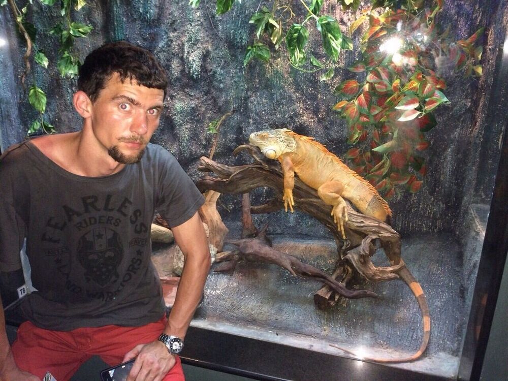 ���������� �����������, ���� ������� ����, 36 ���, ������������ ��� ������, ����� � ���������, c�������� ���������