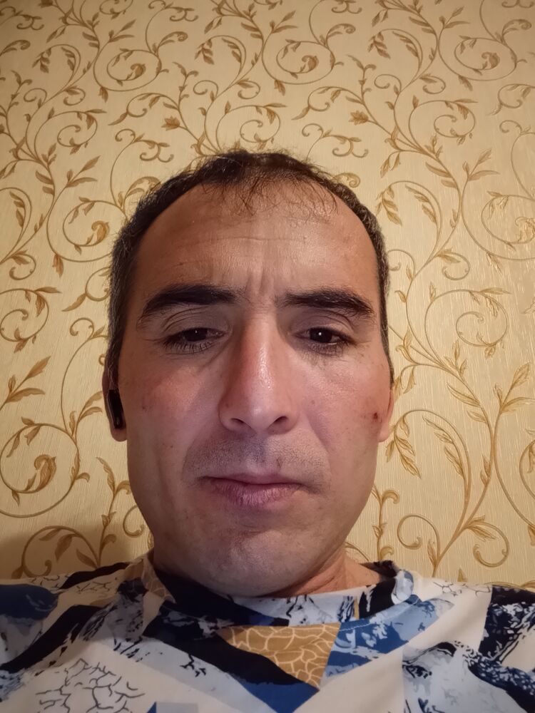  53778163  , 38 ,    