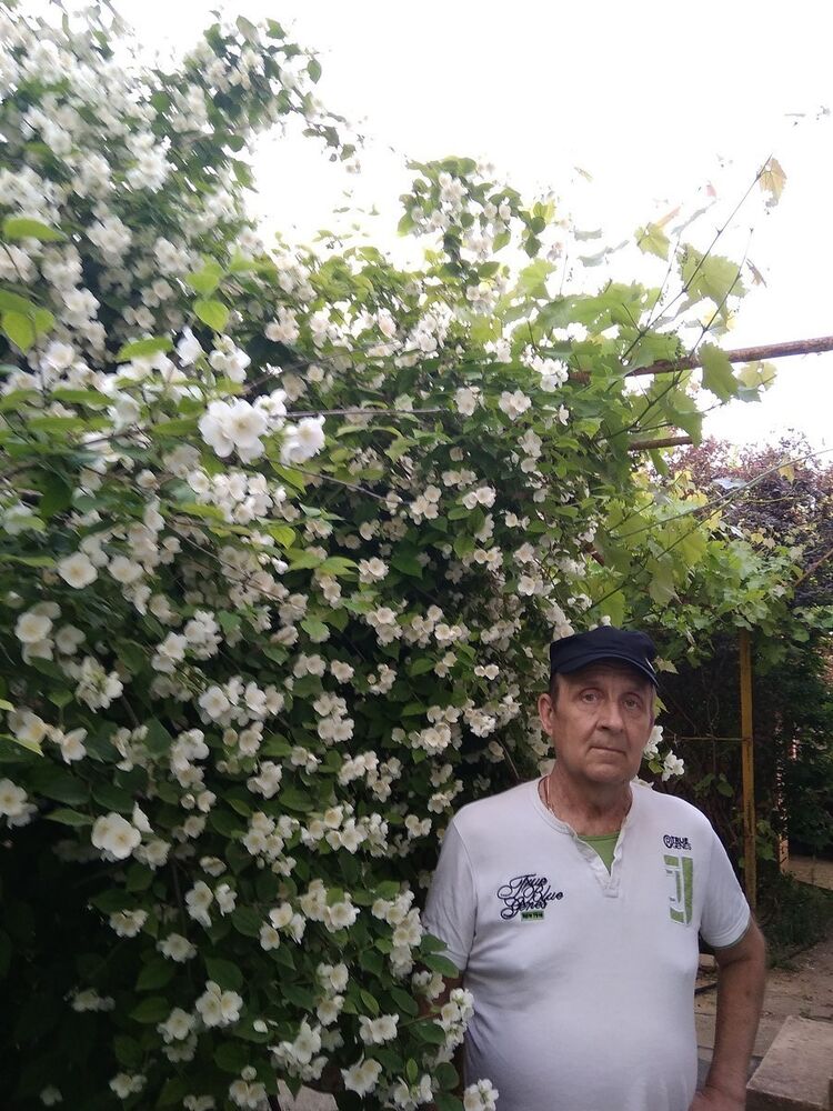  ,   , 62 ,   ,   , c 