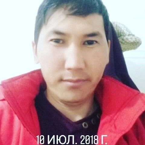 12832363  , 43 ,    
