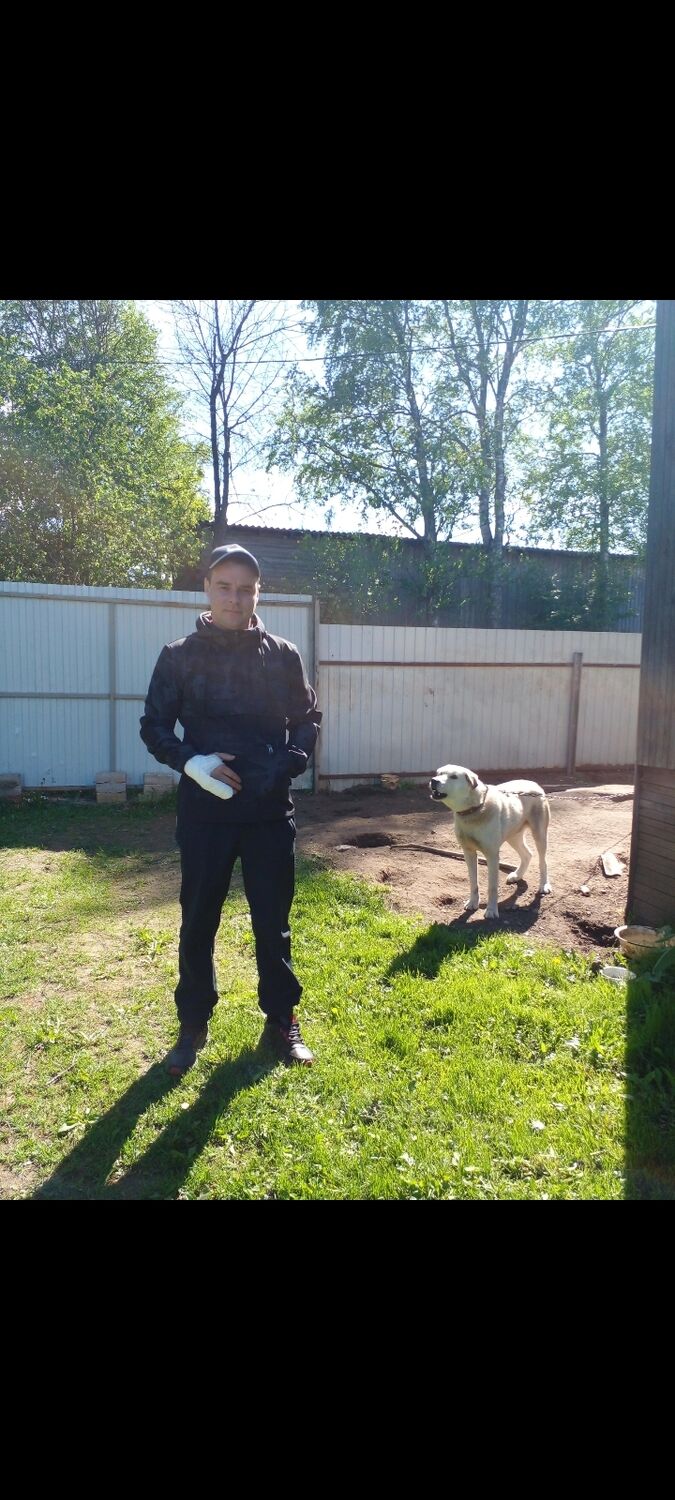 ���������� ���������, ���� ������� ���������, 35 ���, ������������ ��� ������, ����� � ���������